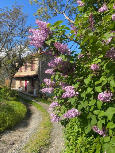 Berceto Bed & Breakfast | La Lupa e l'Orso B&B