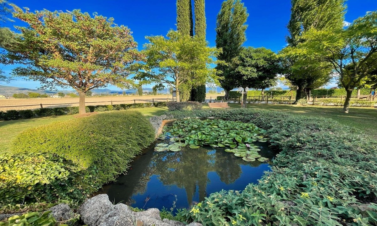 Limiti Villa | Spello By The Pool - Sleeps 11 - close to Spello central - large exc pool - wifi