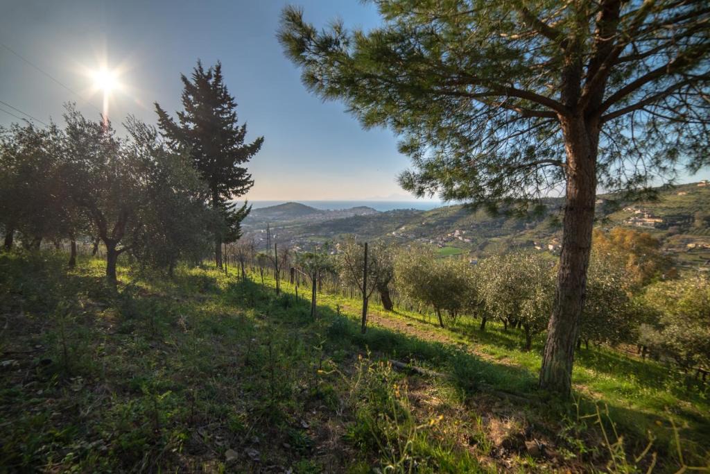 Frascinelle House | Villa Pandora