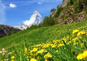 Matten 1 in Zermatt