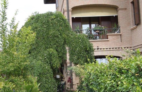 Bomporto Bed & Breakfast | 14 m² Bed and breakfast ∙ 3 guests