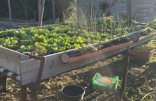Sesto Fiorentino House | A charming two-room apartment surrounded by greenery on a farm just a short walk from the city