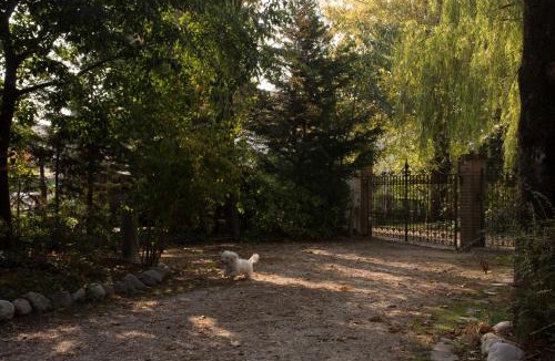 Curtatone Bed & Breakfast | Al Parco