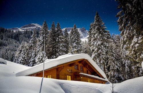 Schattenhalb Ski Chalet | Alpenlodge