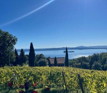 Gradoli House | House Among Regenerative Vineyards Near Bolsena