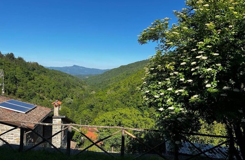 Ortignano Raggiolo Apartment | La Peglia Vacation Home: Where relaxation, nature, and forests take center stage.