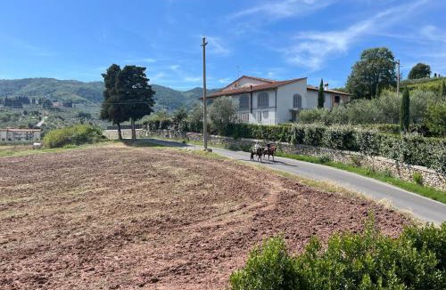 Quarrata Apartment | Lucciano Suite