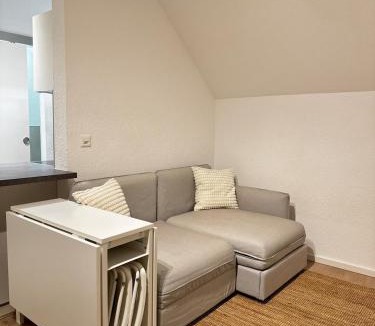 Grenchen Apartment | Studio D'or