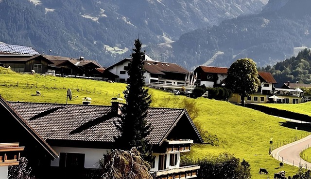 Apartment 'Bergrose' with Hörnerdörfer Mountain Cable Car Pass, Pool & Sauna Included in Obermaiselstein