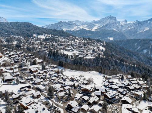 Apartment Villars Vacances 20 by Interhome in Villars-sur-Ollon