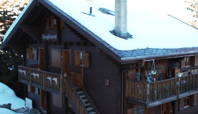 Bärgblüemli 1. OG Ost Studio, Dusche oder Bad, WC 1 1/2 Zimmerwohnung, 2-Betten by Interhome in Bettmeralp