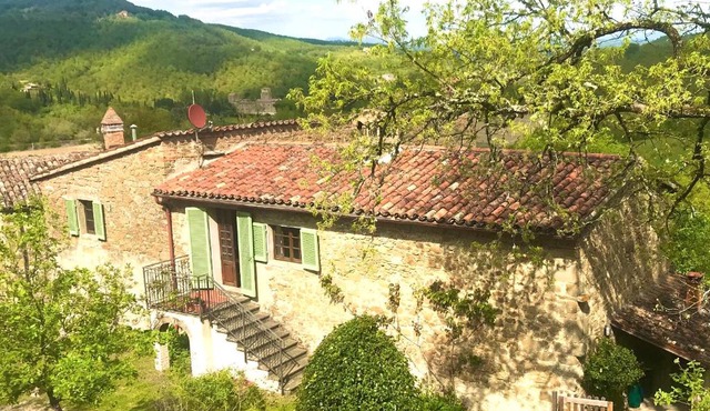 Bargi
