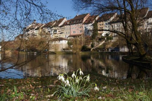 Bett am Weiher in Wil