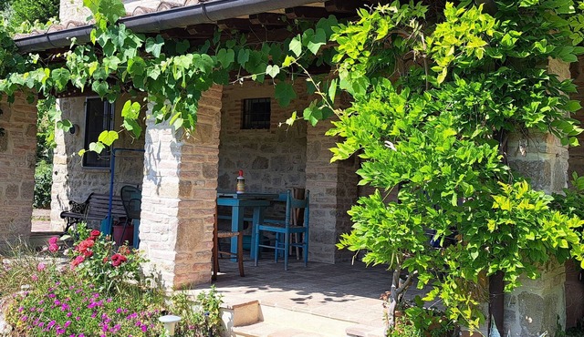 Cottage with pool and veranda surrounded by olive trees. in Umbertide