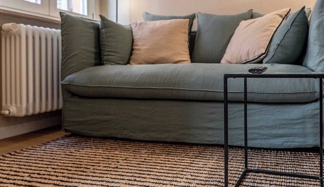 Cozy luxury apartment in the city centre