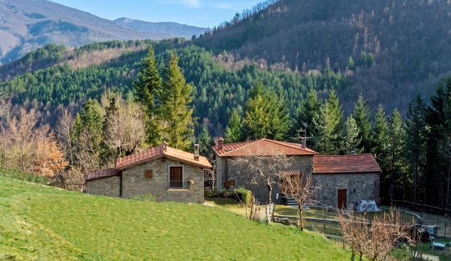 Homerez - Cozy House in Bibbiena + Pool & Garden