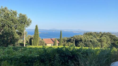 House Among Regenerative Vineyards Near Bolsena in Gradoli