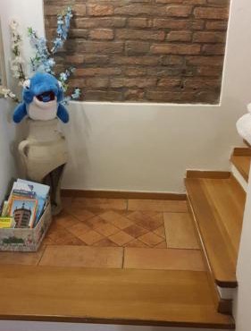 Il Delfino a Bologna