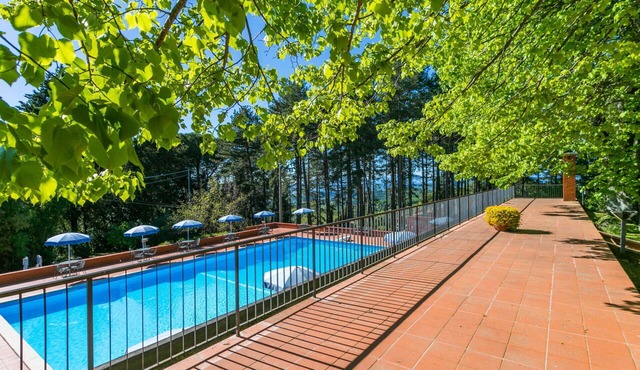 Lovely apartment in villa for 5 people with WIFI, pool, TV, terrace, pets allowed and panoramic . in San Vivaldo