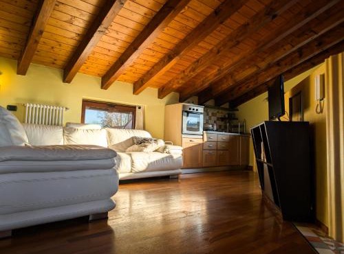Openspace Attic Apartment with terrace, Wi-Fi in Saronno