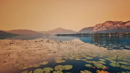 Re Lear Al Lago in Colà di Lazise