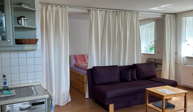 Studio Apartment 'Wohnung 1' with Private Terrace and Wi-Fi in Oberhof