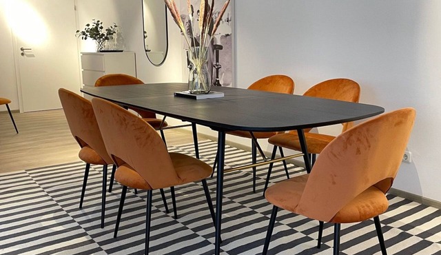 Stylish apartment in the heart of Bregenz with private parking in Bregenz