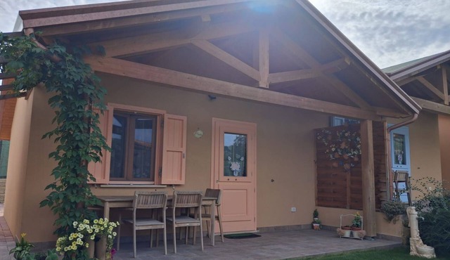 'Vindemia la salmon by Interhome