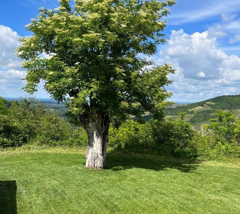 Mercatale Villa | Casale IL SAMBUCO sui colli bolognesi