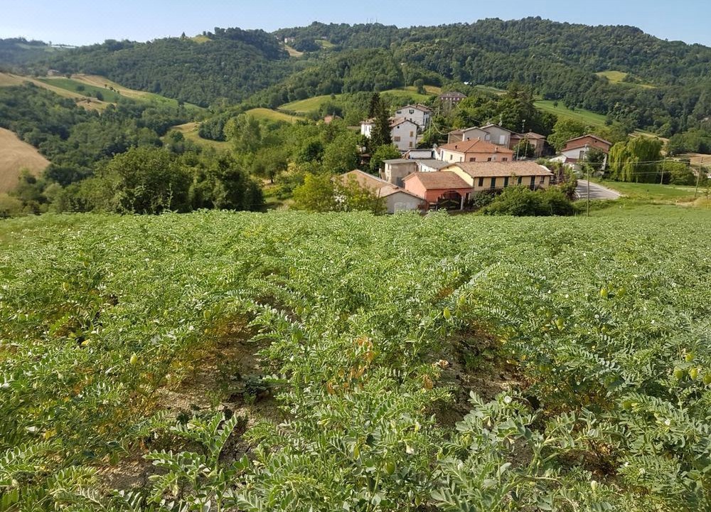 Photo of Outdoor in Sordiglio