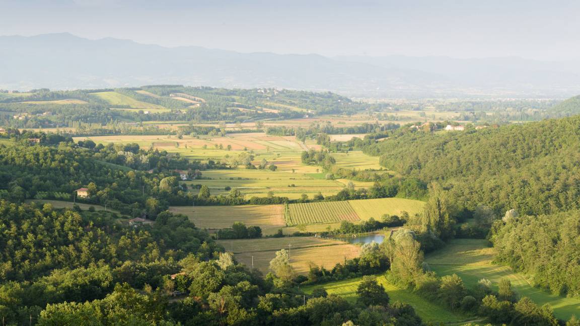 Photo of Others in Santa Reparata