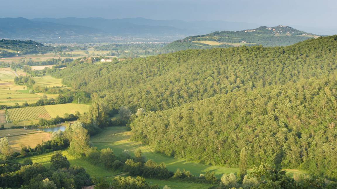 Photo of Others in Santa Reparata