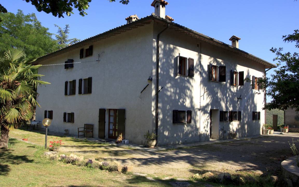 Photo of Buildings in Santa Reparata