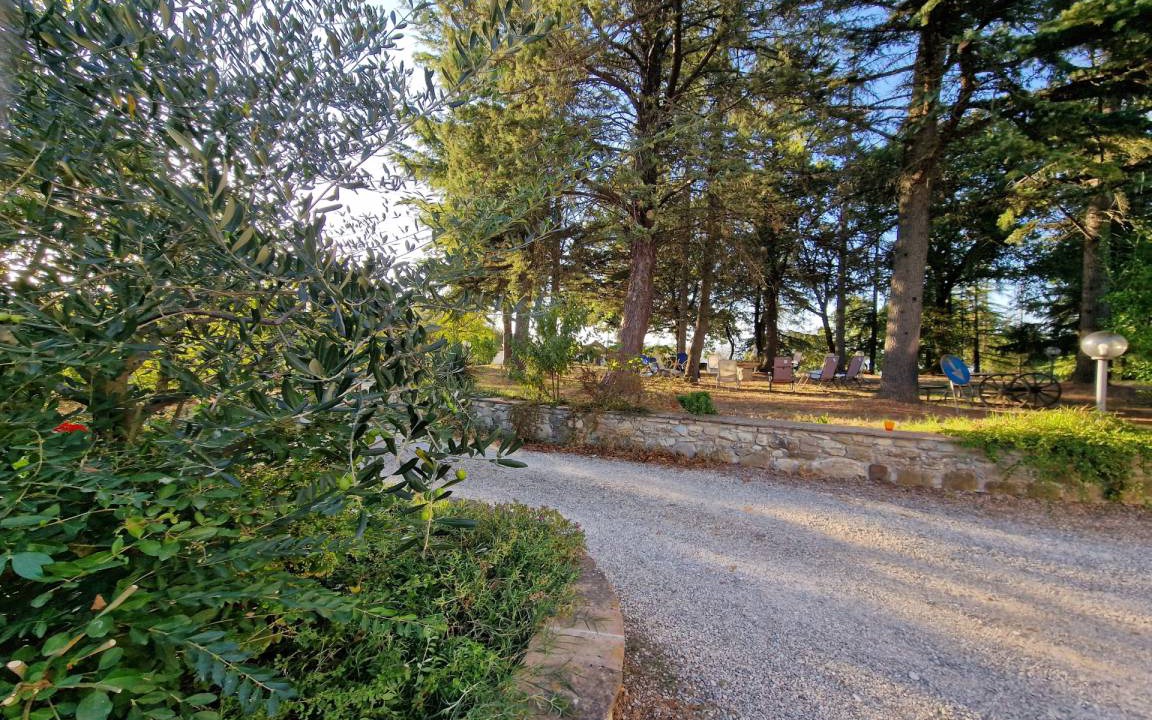 Photo of Others in Santa Reparata