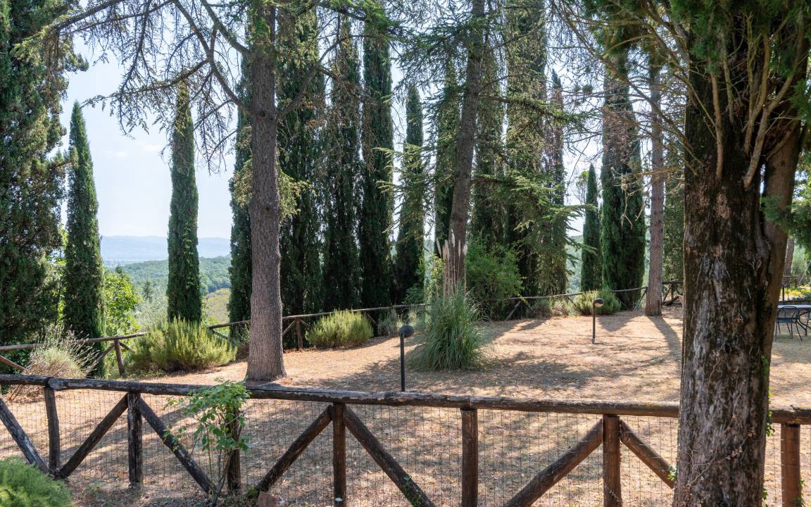 Photo of Others in Santa Reparata
