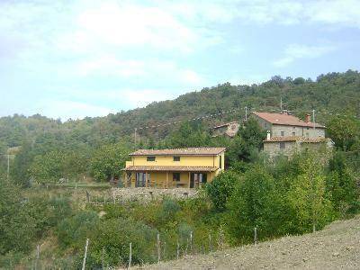Photo of Others in Santa Reparata
