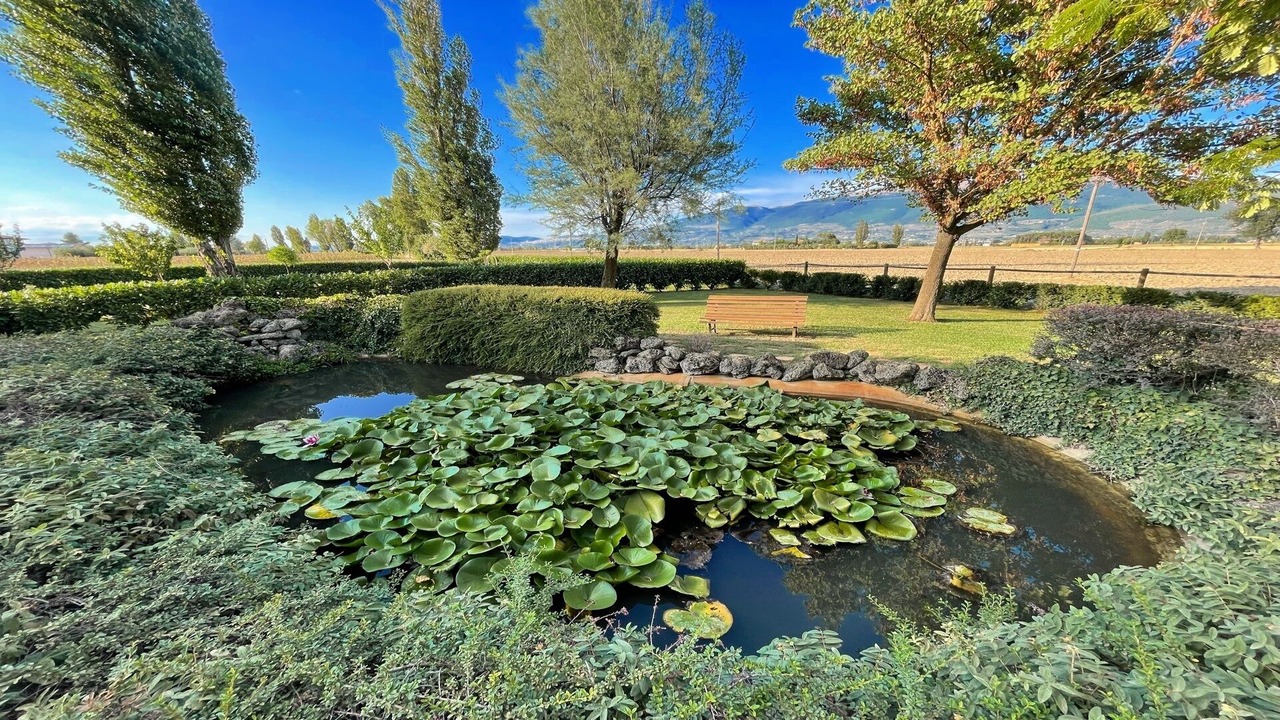 Photo of Outdoor in Limiti