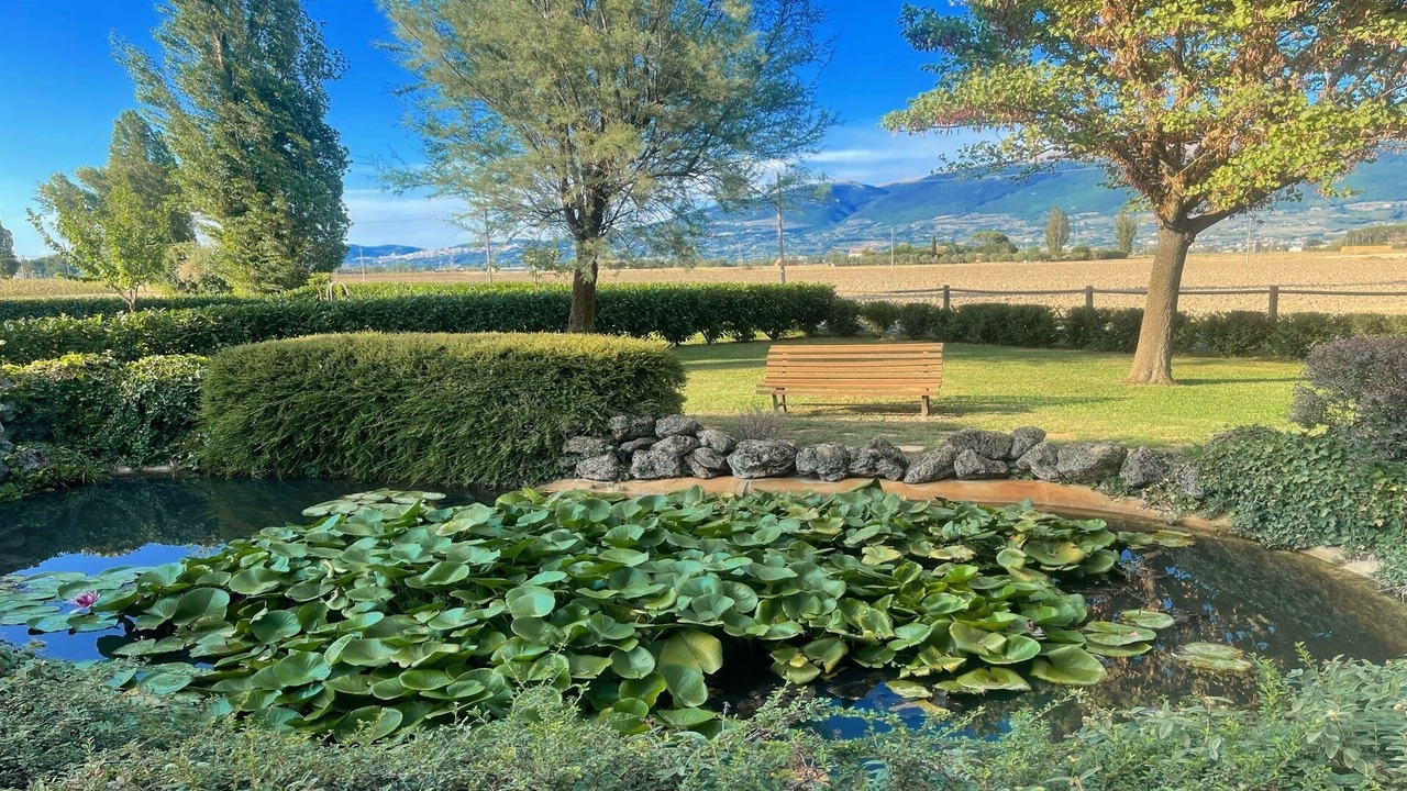 Photo of Outdoor in Limiti