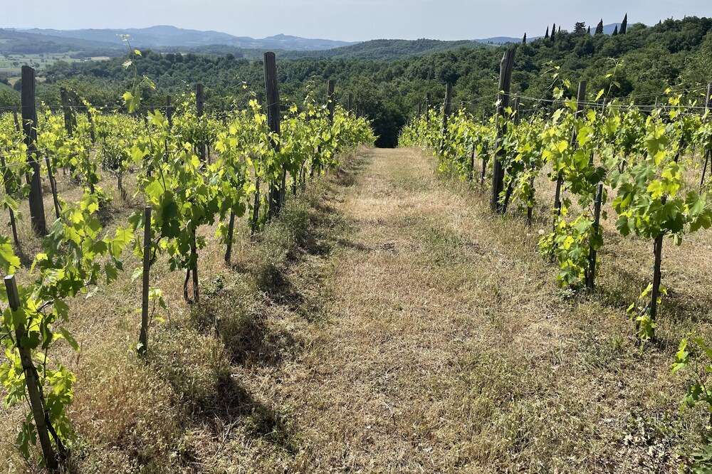 Photo of Outdoor in Santa Reparata