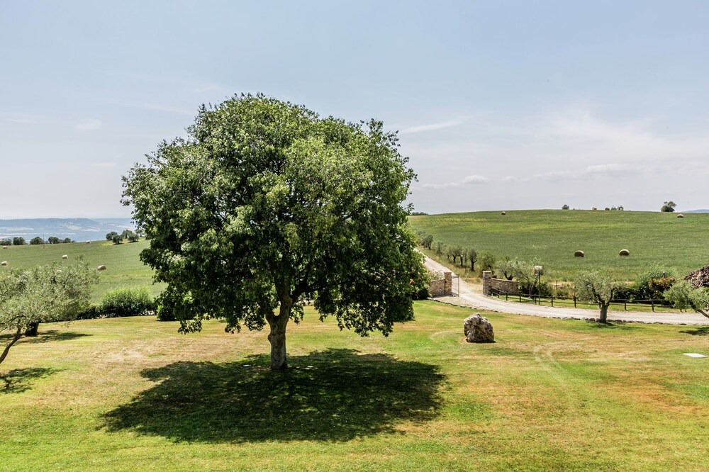 Photo of Outdoor in Montoro