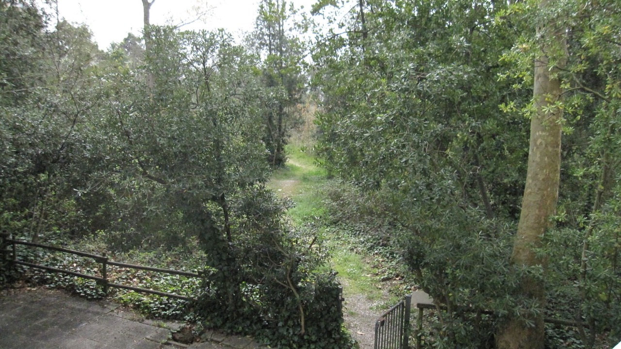 Photo of Patio Balcony in Grado Pineta
