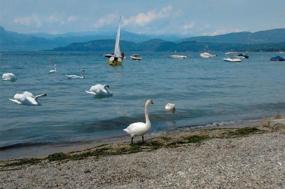 Photo of Others in Colà Di Lazise