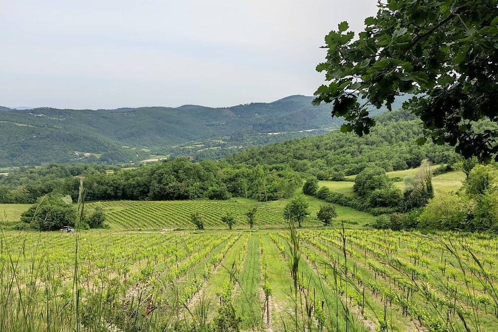 Photo of Outdoor in Castel Focognano