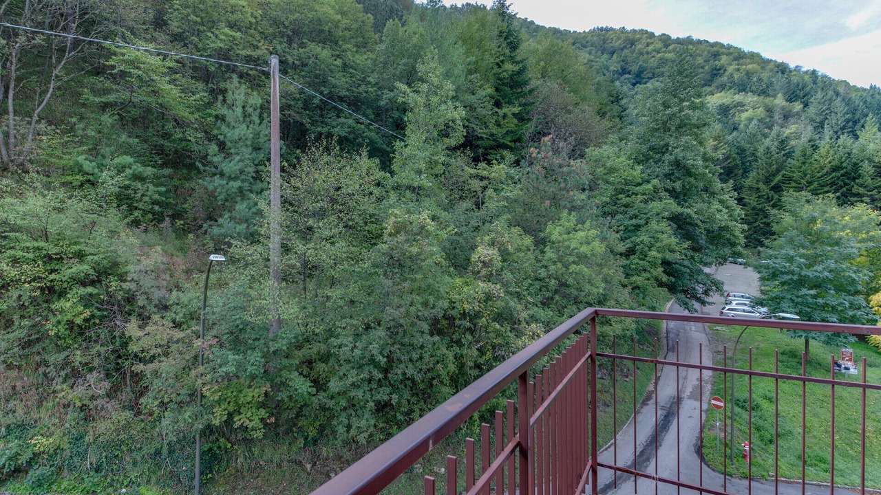 Photo of Outdoor in Premilcuore