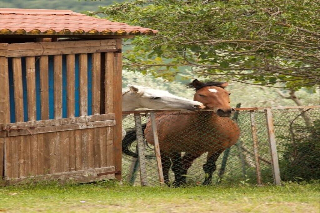 Photo of Outdoor in Migliano