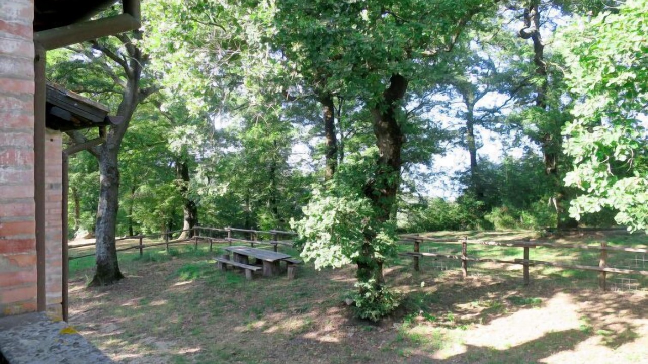 Photo of Outdoor in Paciano