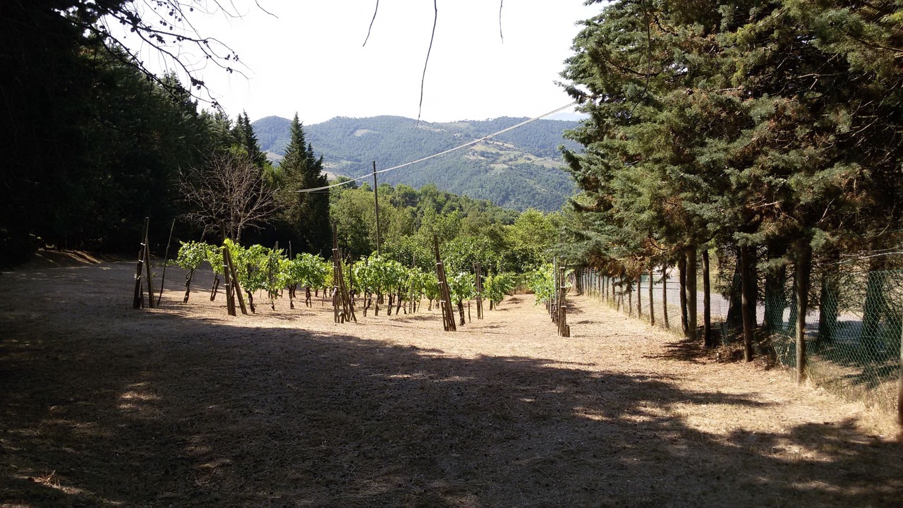 Photo of Outdoor in Santa Reparata