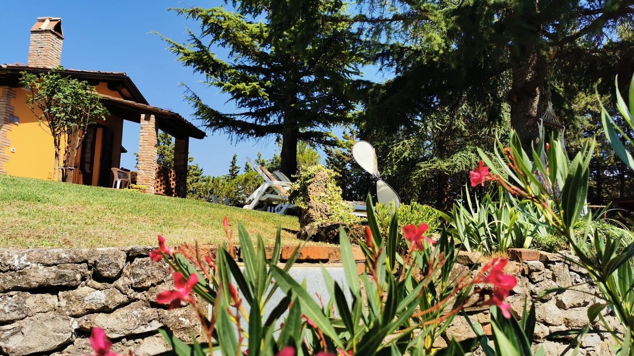 Photo of Outdoor in Santa Reparata