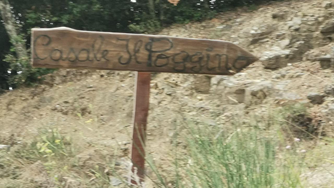 Photo of Outdoor in Santa Reparata