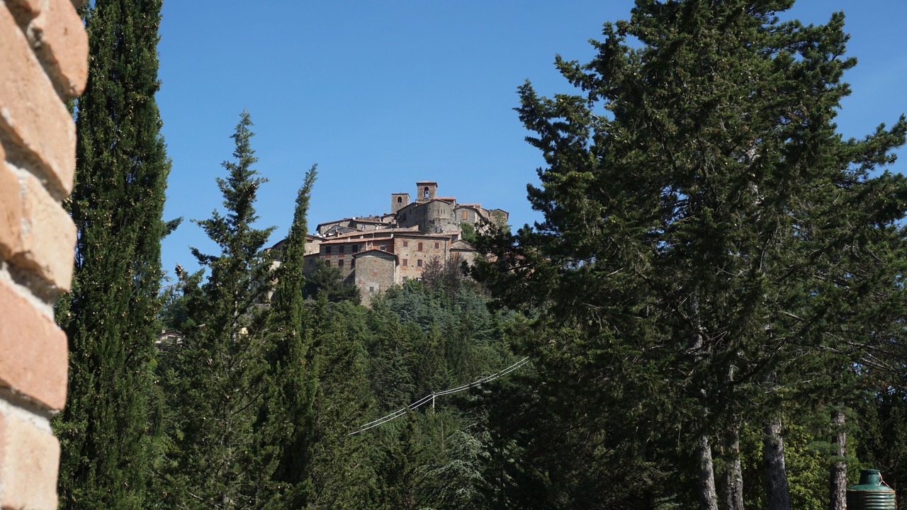Photo of Outdoor in Santa Reparata